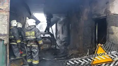 Zakon.kz, фото - Новости Zakon.kz от 15.02.2017 14:53