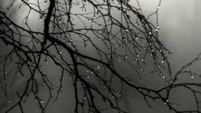 Zakon.kz, фото - Новости Zakon.kz от 31.03.2017 12:00