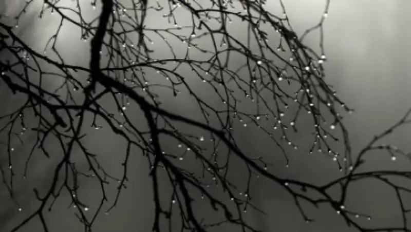 Сильный ветер и осадки ожидаются на большей части Казахстана 31 марта