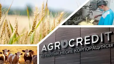 кредиты, аграрии, фото - Новости Zakon.kz от 30.11.2021 10:09