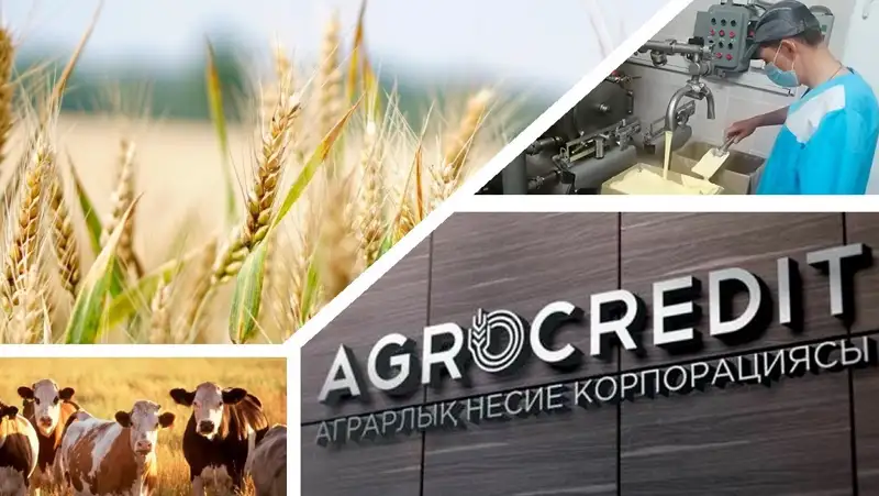 АКК направила 22,5 млрд тенге на микрокредитование бизнеса в регионах