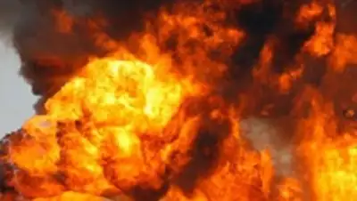 Pulse.ng, фото - Новости Zakon.kz от 05.10.2018 18:12