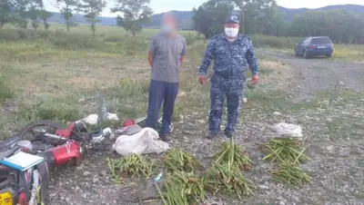 Polisia.kz., фото - Новости Zakon.kz от 02.07.2020 07:00