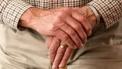 Pixabay, фото - Новости Zakon.kz от 03.12.2019 23:47