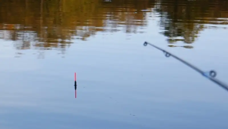 Краснодарский рыбак выжил после удара током в 27 тысяч вольт