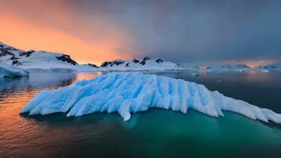 theguardian.com, фото - Новости Zakon.kz от 22.07.2020 19:50