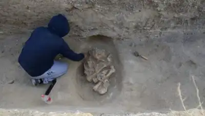 предоставлено заповедником, фото - Новости Zakon.kz от 31.10.2018 09:39