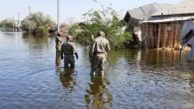 Региональная служба коммуникаций Туркестанской области, фото - Новости Zakon.kz от 08.05.2020 00:42