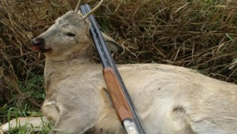 Обещали - сделали. Браконьерам придется несладко в Казахстане