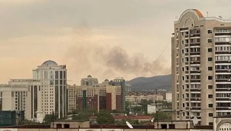 Сухостой горит на склоне горы в Алматы