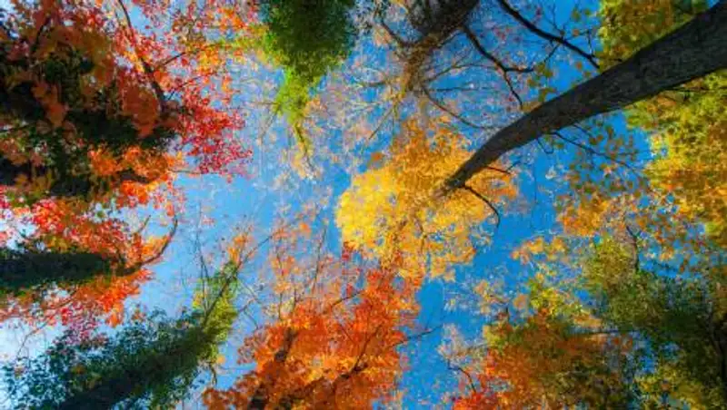 1 октября в Казахстане сохраняется погода без осадков