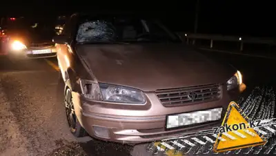 Zakon.kz, фото - Новости Zakon.kz от 20.10.2019 12:13