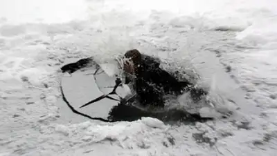 Zakon.kz, фото - Новости Zakon.kz от 14.11.2015 02:24