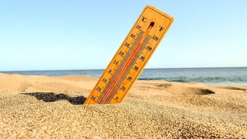 Сильную жару и пожарную опасность прогнозируют в ряде регионов Казахстана 11 июня