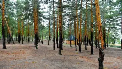 Пресс-служба акима СКО, фото - Новости Zakon.kz от 05.06.2018 15:19