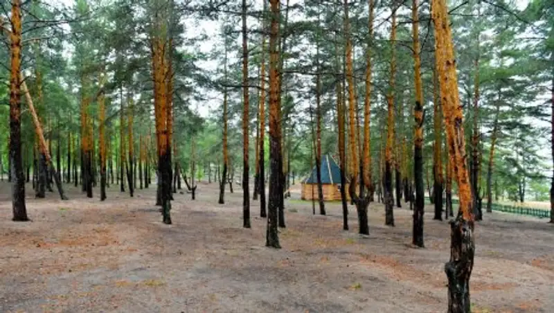 В Имантауско-Шалкарской курортной зоне нашли идеальное место для автокараванинга