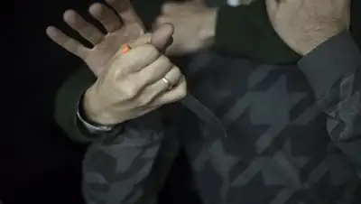 фото: Sputnik Кыргызстан, фото - Новости Zakon.kz от 15.12.2017 17:18