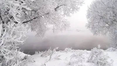 Zakon.kz, фото - Новости Zakon.kz от 20.01.2017 12:02