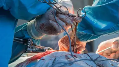 Фото: Сергей Гунеев / РИА Новости, фото - Новости Zakon.kz от 25.01.2018 08:30