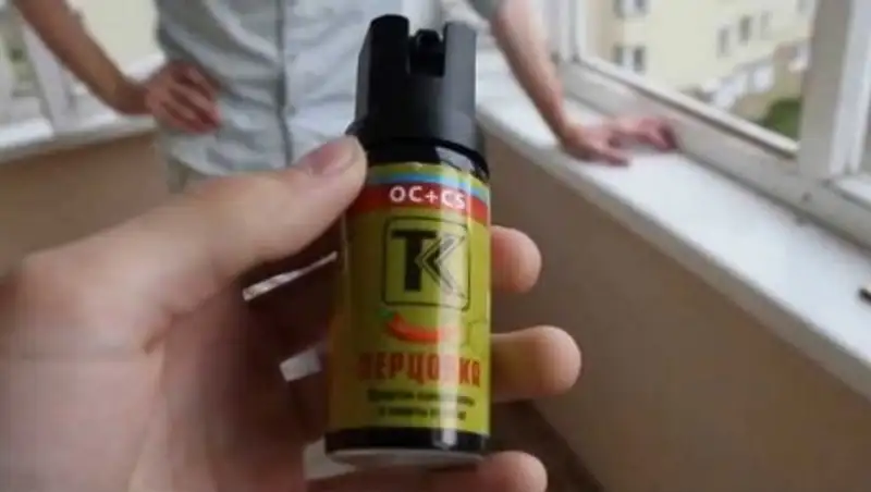 Полиция нашла ученицу, из-за которой в школе отравились несколько человек