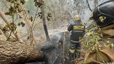 пожар в Абайской области, фото - Новости Zakon.kz от 10.06.2023 09:50