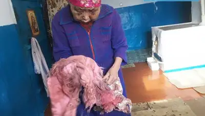 diapazon.kz, фото - Новости Zakon.kz от 26.02.2019 20:58