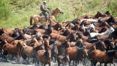 акимат СКО, фото - Новости Zakon.kz от 21.04.2019 12:53