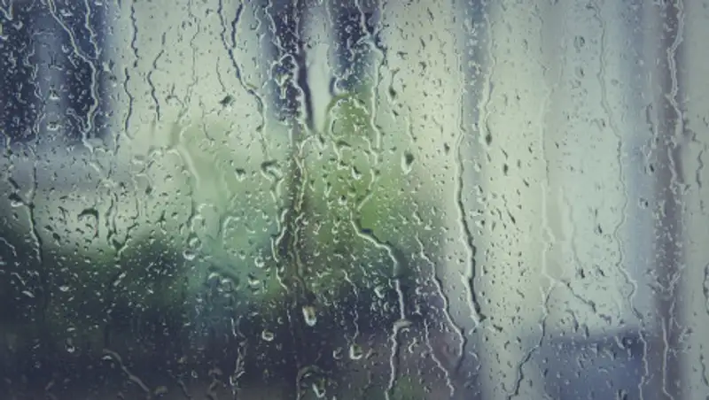 Дожди с грозами прогнозируют синоптики 23 июня