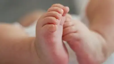 24.kz, фото - Новости Zakon.kz от 31.01.2020 11:25