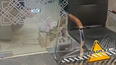 zakon.kz, фото - Новости Zakon.kz от 11.02.2020 17:33