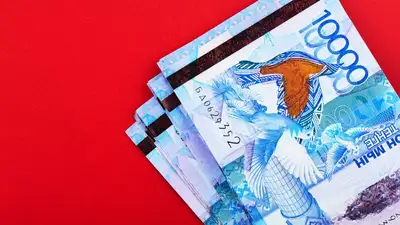 Где взять деньги на новогоднюю мечту, фото - Новости Zakon.kz от 13.12.2022 09:30