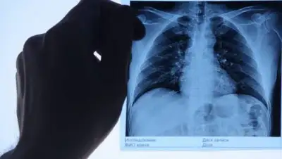 regnum.ru, фото - Новости Zakon.kz от 15.05.2020 16:24