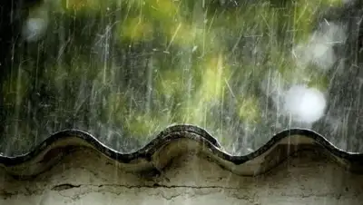 Zakon.kz, фото - Новости Zakon.kz от 16.08.2016 06:37