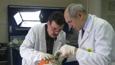 Мойка78, фото - Новости Zakon.kz от 15.02.2018 21:05