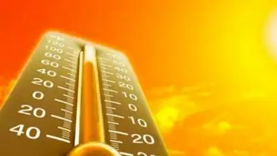 Zakon.kz, фото - Новости Zakon.kz от 03.07.2015 02:23