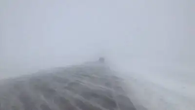 24.kz, фото - Новости Zakon.kz от 20.12.2020 11:30