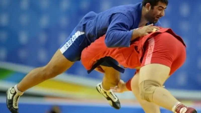 МОК принял заявку на включение самбо в программу Олимпиад