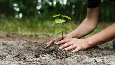 Cantech Letter, фото - Новости Zakon.kz от 28.03.2018 00:19