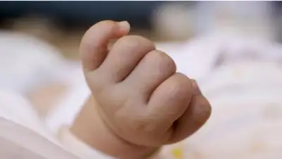 Zakon.kz, фото - Новости Zakon.kz от 24.10.2017 15:32