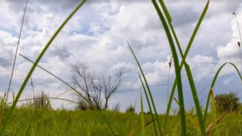В трех областях Казахстана объявлено штормовое предупреждение
