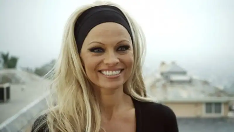 Памела Андерсон летит в Россию на полуфинал ЧМ