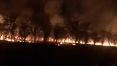 кадр видео, фото - Новости Zakon.kz от 29.03.2019 12:32