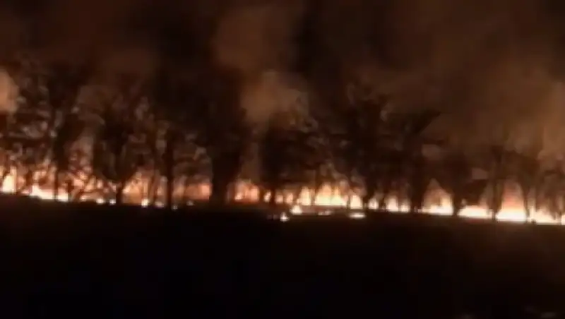 В ДЧС Алматинской области опровергли информацию о горевшем яблоневом саде