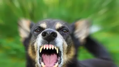 Zakon.kz, фото - Новости Zakon.kz от 19.11.2016 01:39