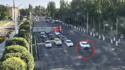 кадр из видео, фото - Новости Zakon.kz от 21.08.2020 14:23