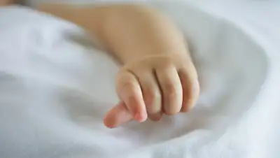 24.kz, фото - Новости Zakon.kz от 13.01.2020 14:56