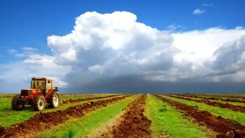 В Костанайской области ученые развивают органическое земледелие