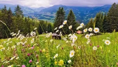 Zakon.kz, фото - Новости Zakon.kz от 10.06.2015 14:15