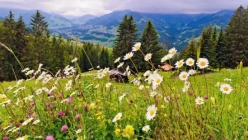 На большей части РК ожидается погода без осадков