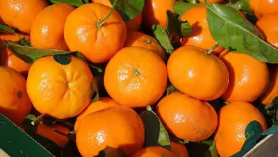 фрукты, фото - Новости Zakon.kz от 17.04.2022 01:07